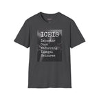 ICEIS Impostor 2 T
